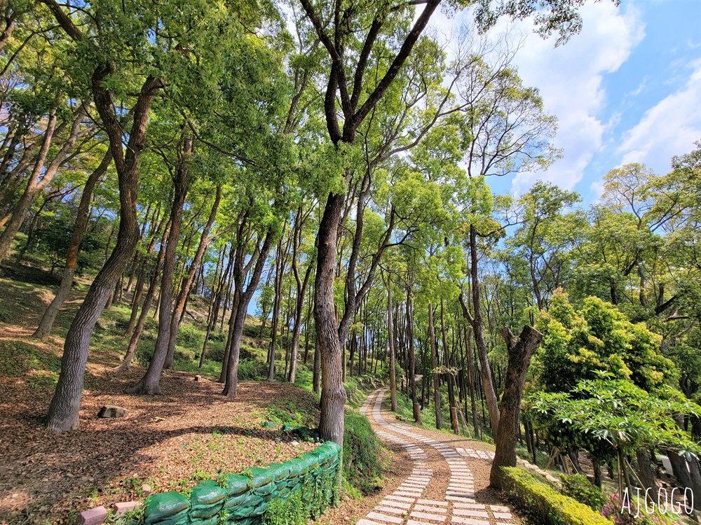 2026苗栗景點 蓮臺山妙音淨苑 清幽的賞櫻勝地 八重櫻、昭和櫻 每年2~3月盛開