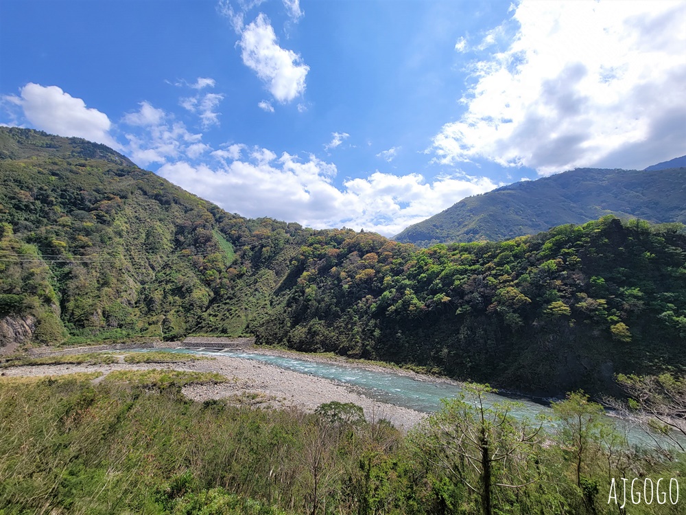 2026桃園景點 恩愛農場 桃園拉拉山櫻花季 富士櫻、千島櫻接力盛開