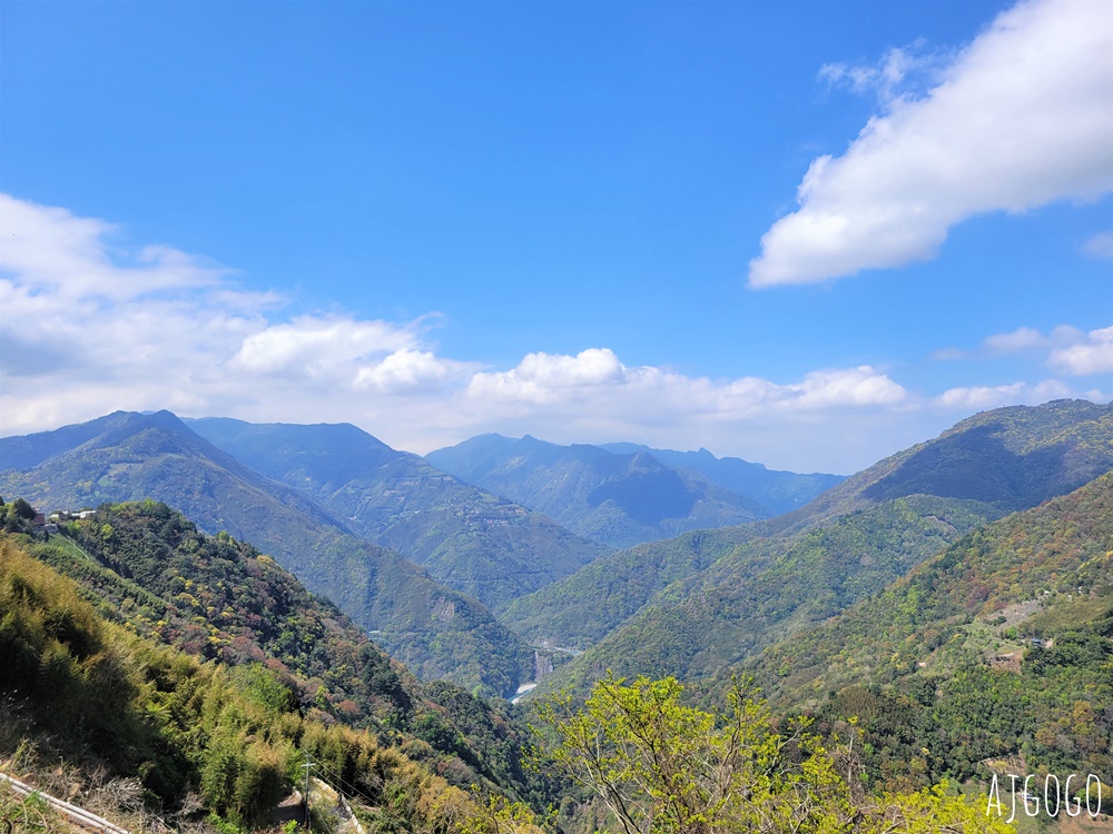 2026桃園景點 恩愛農場 桃園拉拉山櫻花季 富士櫻、千島櫻接力盛開