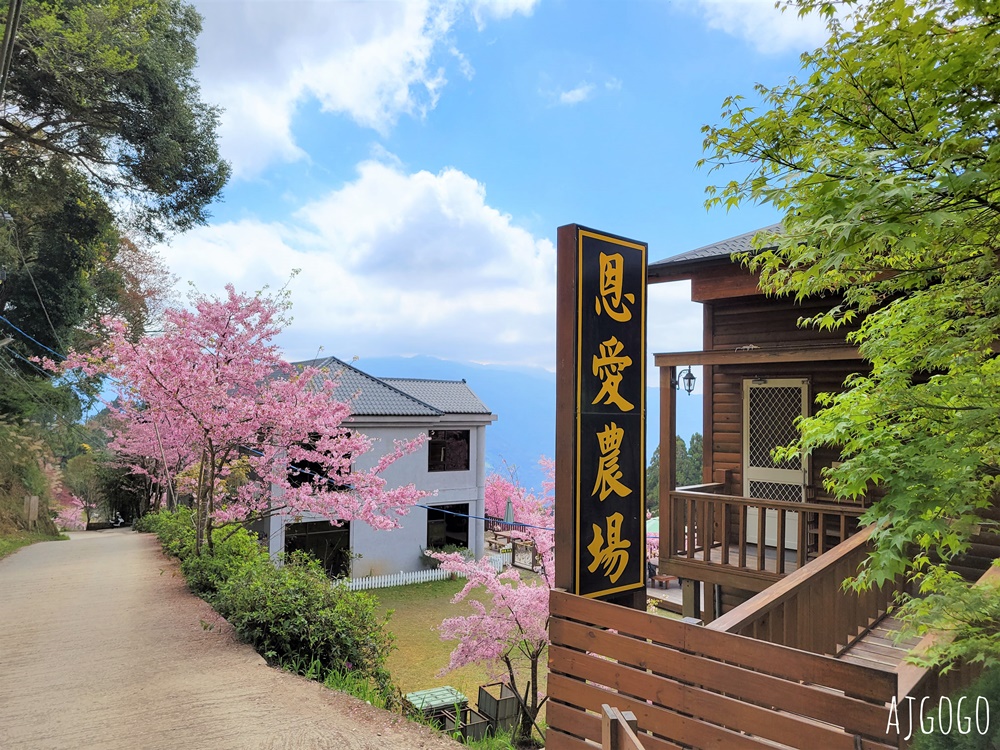 2026桃園景點 恩愛農場 桃園拉拉山櫻花季 富士櫻、千島櫻接力盛開