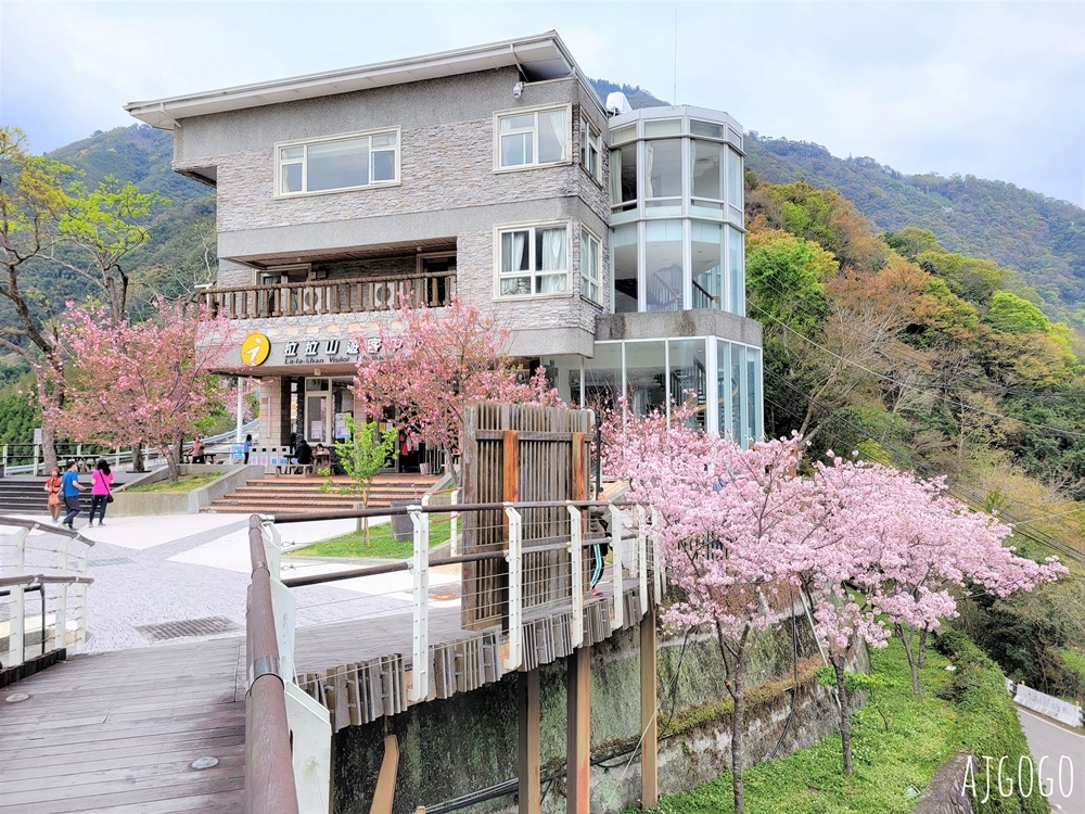 桃園景點 拉拉山遊客中心 巴陵道路沿線 200顆千島櫻每年3月綻放 拉拉山一日遊