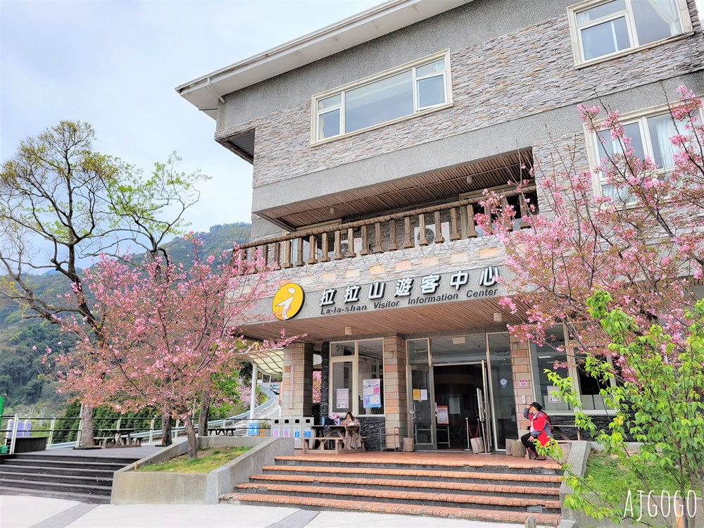 桃園景點 拉拉山遊客中心 巴陵道路沿線 200顆千島櫻每年3月綻放 拉拉山一日遊