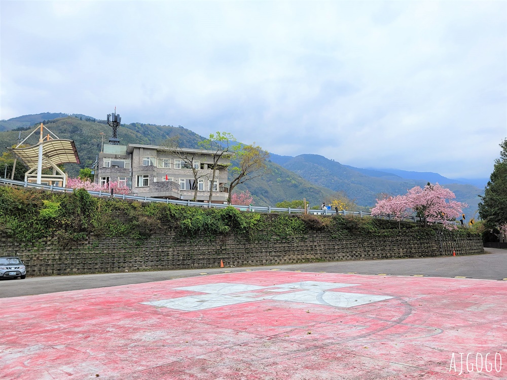 桃園景點 拉拉山遊客中心 巴陵道路沿線 200顆千島櫻每年3月綻放 拉拉山一日遊