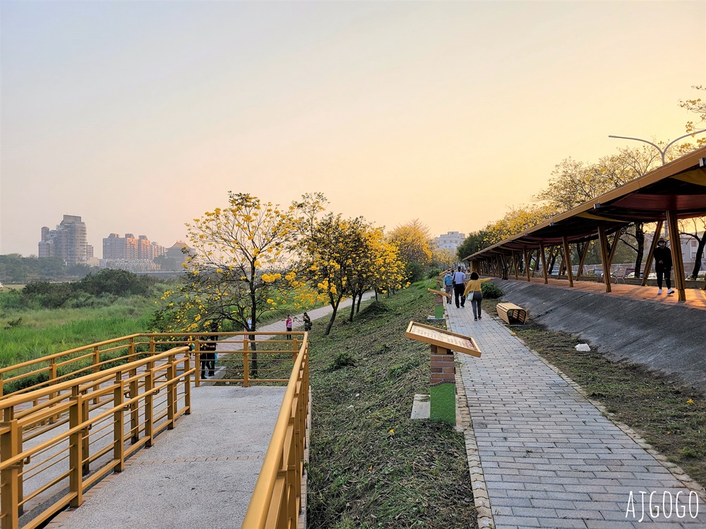 嘉義景點 黃花風鈴木步道 八掌溪堤防、軍輝橋、慈玄宮、仁義路 嘉義最壯觀的黃金隧道 嘉義景點 黃花風鈴木步道 八掌溪堤防、軍輝橋、慈玄宮、仁義路 嘉義最壯觀的黃金隧道