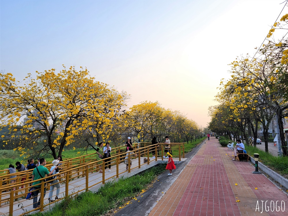 嘉義景點 黃花風鈴木步道 八掌溪堤防、軍輝橋、慈玄宮、仁義路 嘉義最壯觀的黃金隧道 嘉義景點 黃花風鈴木步道 八掌溪堤防、軍輝橋、慈玄宮、仁義路 嘉義最壯觀的黃金隧道