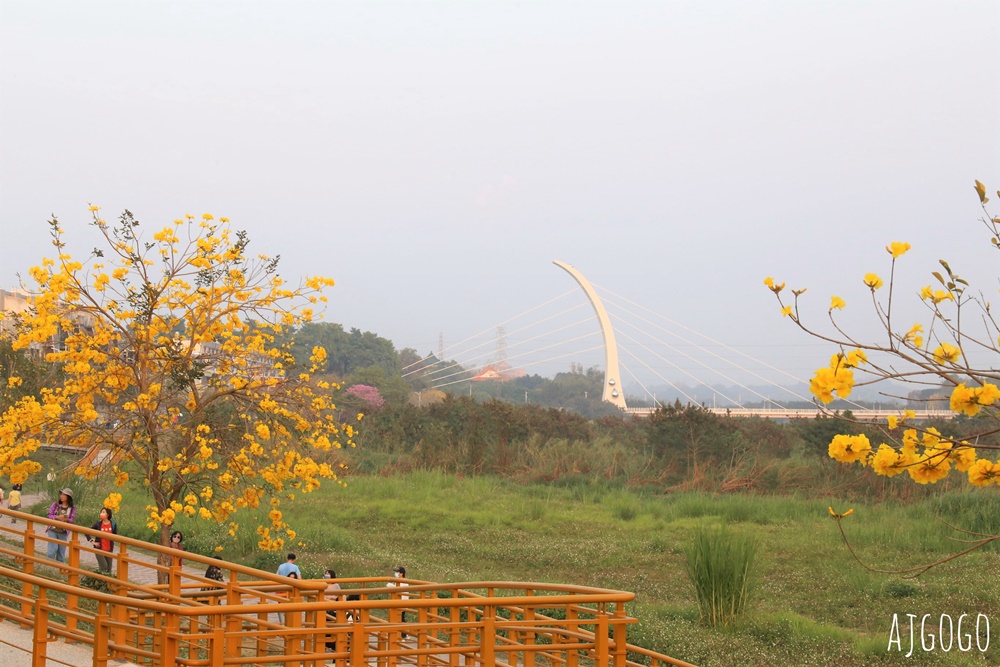 嘉義景點 黃花風鈴木步道 八掌溪堤防、軍輝橋、慈玄宮、仁義路 嘉義最壯觀的黃金隧道