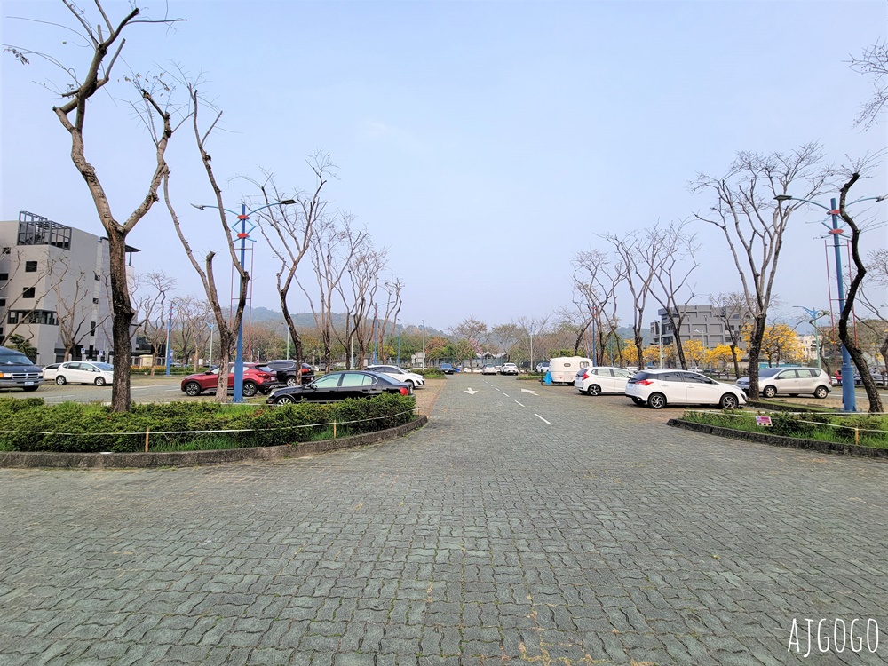 台中景點 台中廍子公園 黃花風鈴木滿園盛開 最美金黃色公園 每年2月底登場