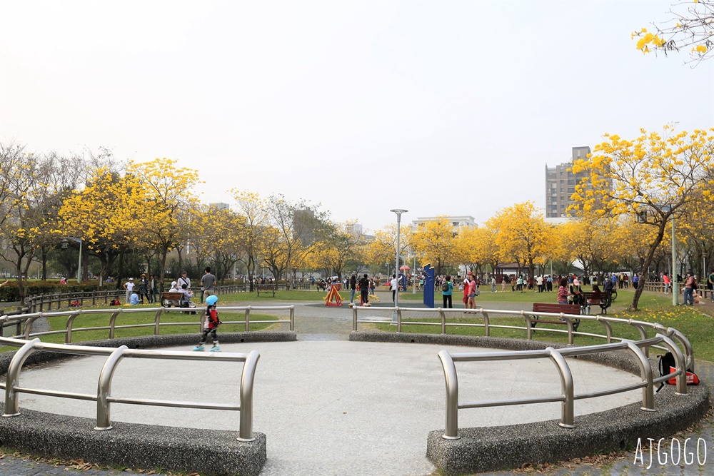 台中景點 台中廍子公園 黃花風鈴木滿園盛開 最美金黃色公園 每年2月底登場