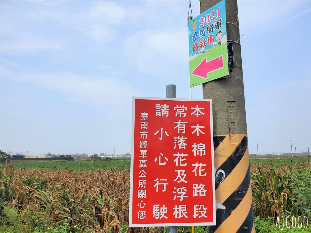 2026台南景點 將軍區木棉花道 將軍國中漚汪木棉花道 7條不用人擠人的木棉花道