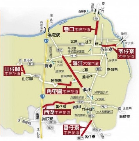 2026台南景點 將軍區木棉花道 將軍國中漚汪木棉花道 7條不用人擠人的木棉花道