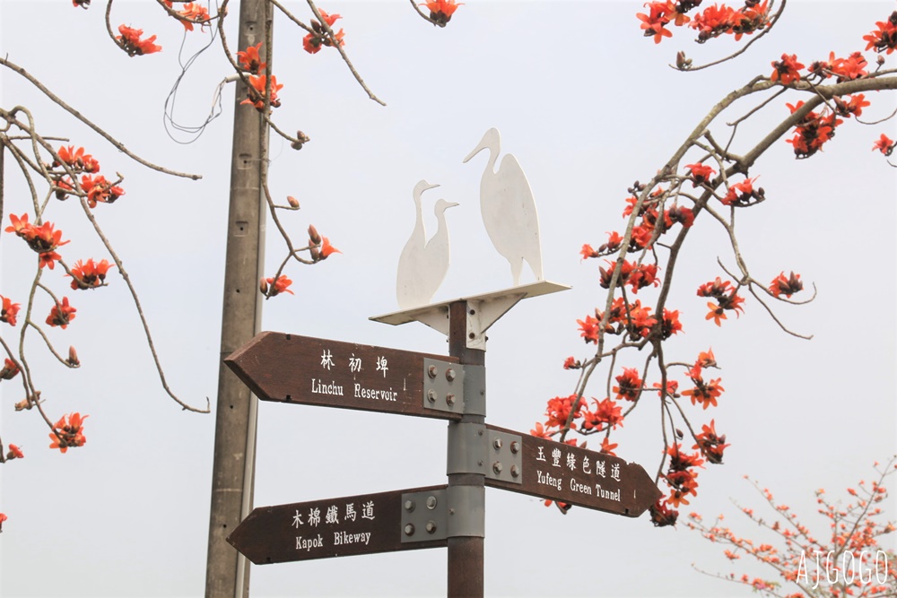 2026台南景點 白河林初埤木棉花道 每年3月上演的橘紅色花海隧道 2026台南景點 白河林初埤木棉花道 每年3月上演的橘紅色花海隧道