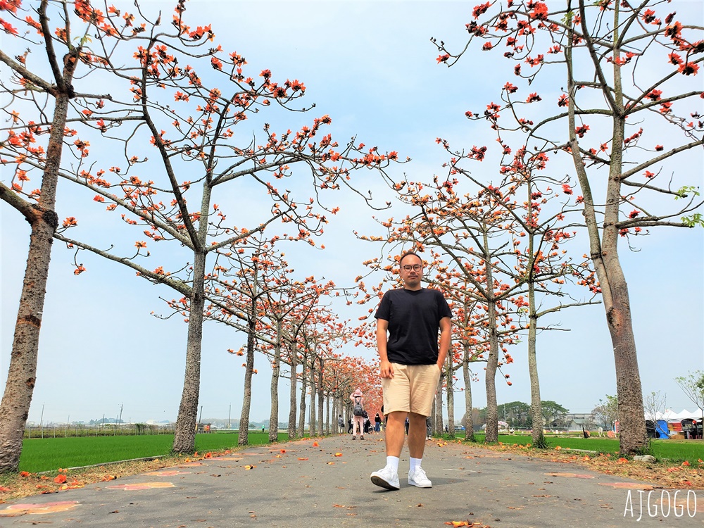 2026台南景點 白河林初埤木棉花道 每年3月上演的橘紅色花海隧道 2026台南景點 白河林初埤木棉花道 每年3月上演的橘紅色花海隧道