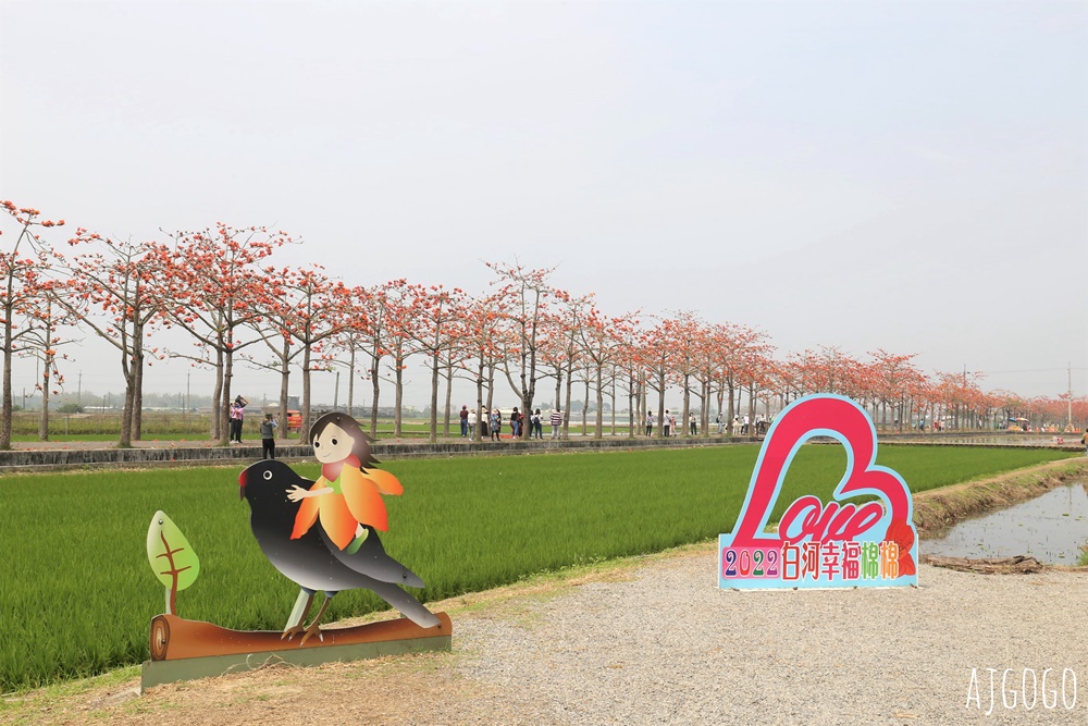 2026台南景點 白河林初埤木棉花道 每年3月上演的橘紅色花海隧道 2026台南景點 白河林初埤木棉花道 每年3月上演的橘紅色花海隧道