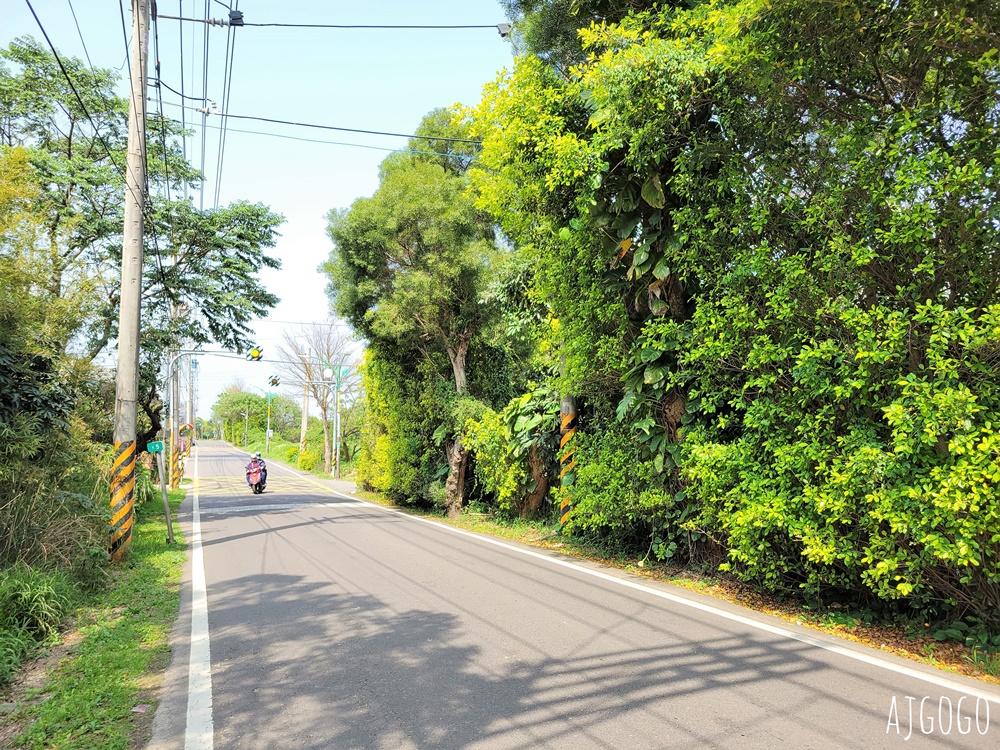 2026桃園景點 青埔櫻花 隱密的櫻花巷弄 富士櫻每年3月中盛開 2026桃園景點 青埔櫻花 隱密的櫻花巷弄 富士櫻每年3月中盛開