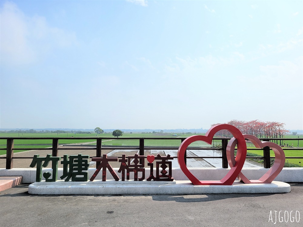2026彰化景點 竹塘木棉花道 在綠色稻田裡抹上一道橘紅 有詩意的木棉道