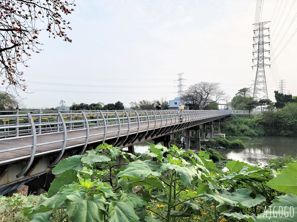 2026彰化景點 二林東螺溪木棉花道 長1.4公里的橘黃紅花海隧道 每年3月盛開