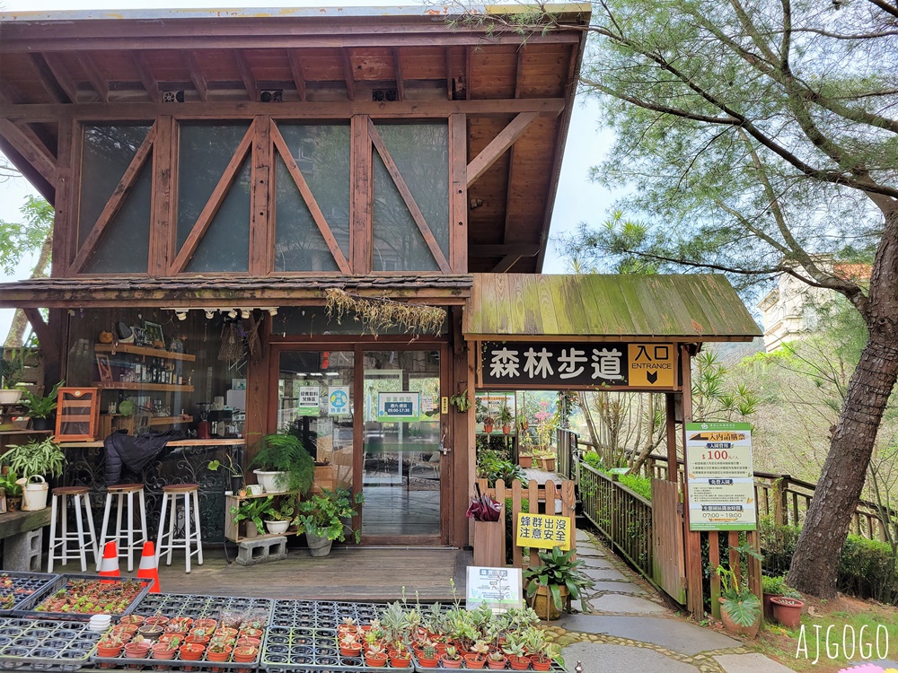 2026桃園住宿 麗多森林溫泉酒店 桃園親子飯店 標準客房、早餐、游泳池與飯店設施