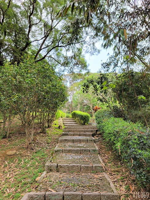 2026桃園住宿 麗多森林溫泉酒店 桃園親子飯店 標準客房、早餐、游泳池與飯店設施