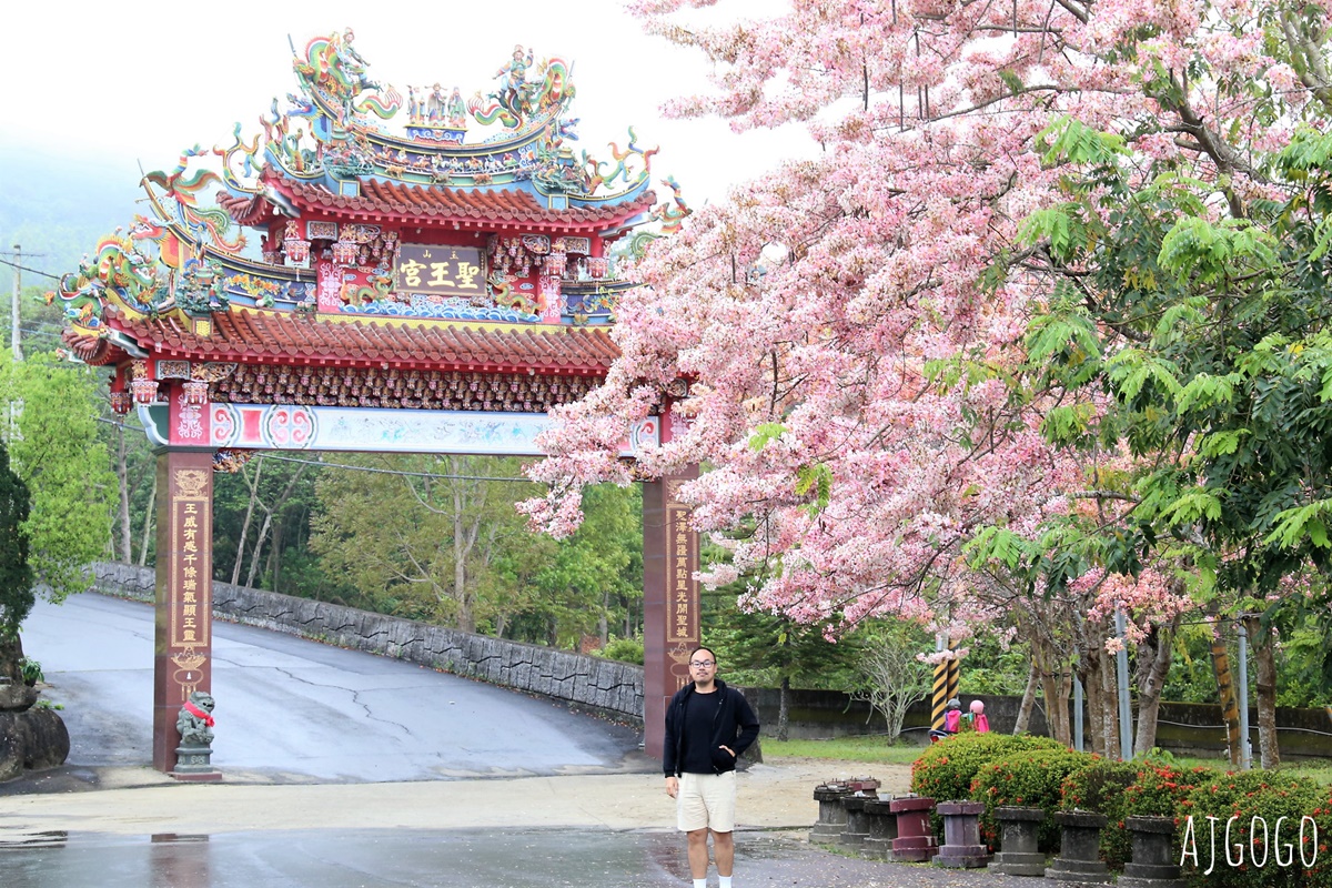 台南景點 玉山寶光聖堂 300顆花旗木粉紅花海 每年3~4月綻放 台南一日遊