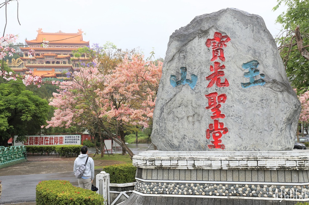 台南景點 玉山寶光聖堂 300顆花旗木粉紅花海 每年3~4月綻放 台南一日遊
