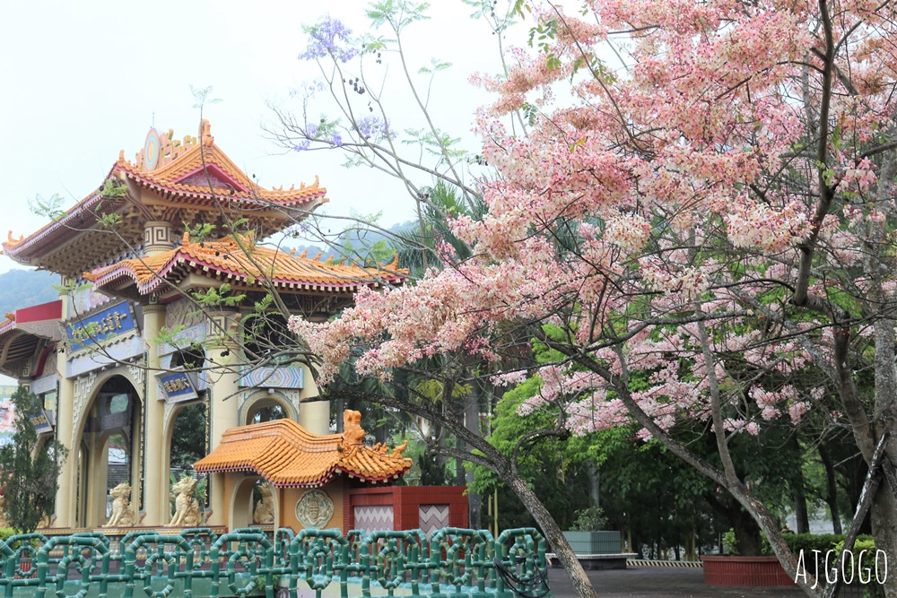 台南景點 玉山寶光聖堂 300顆花旗木粉紅花海 每年3~4月綻放 台南一日遊