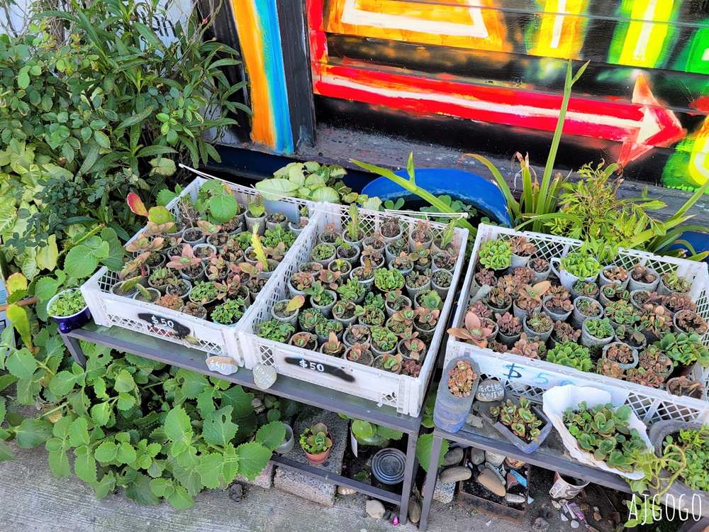 林口美食 西濱海景咖啡廳 6115 Cafe 南灣頭濱海步道 海景餐廳 林口美食 西濱海景咖啡廳 6115 Cafe 南灣頭濱海步道 海景餐廳