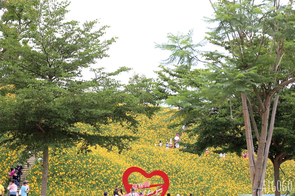 彰化景點 花壇虎山巖金針花海 觀音佛祖 每年4月底~6月中為賞花期