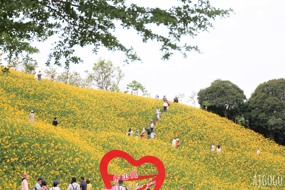 彰化景點 花壇虎山巖金針花海 觀音佛祖 每年4月底~6月中為賞花期