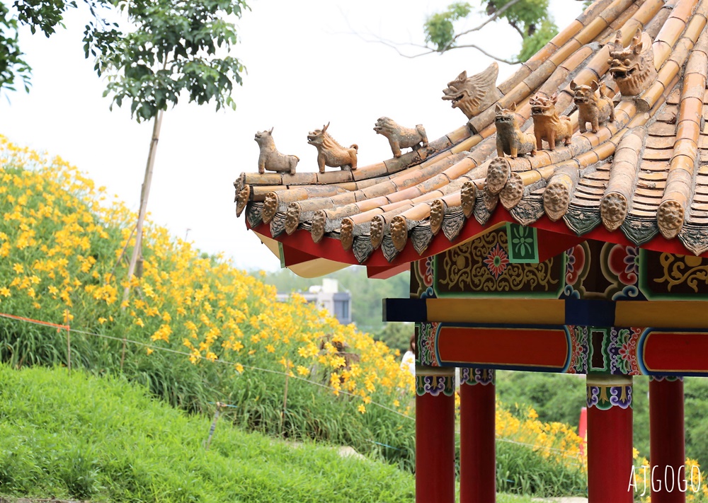 彰化景點 花壇虎山巖金針花海 觀音佛祖 每年4月底~6月中為賞花期