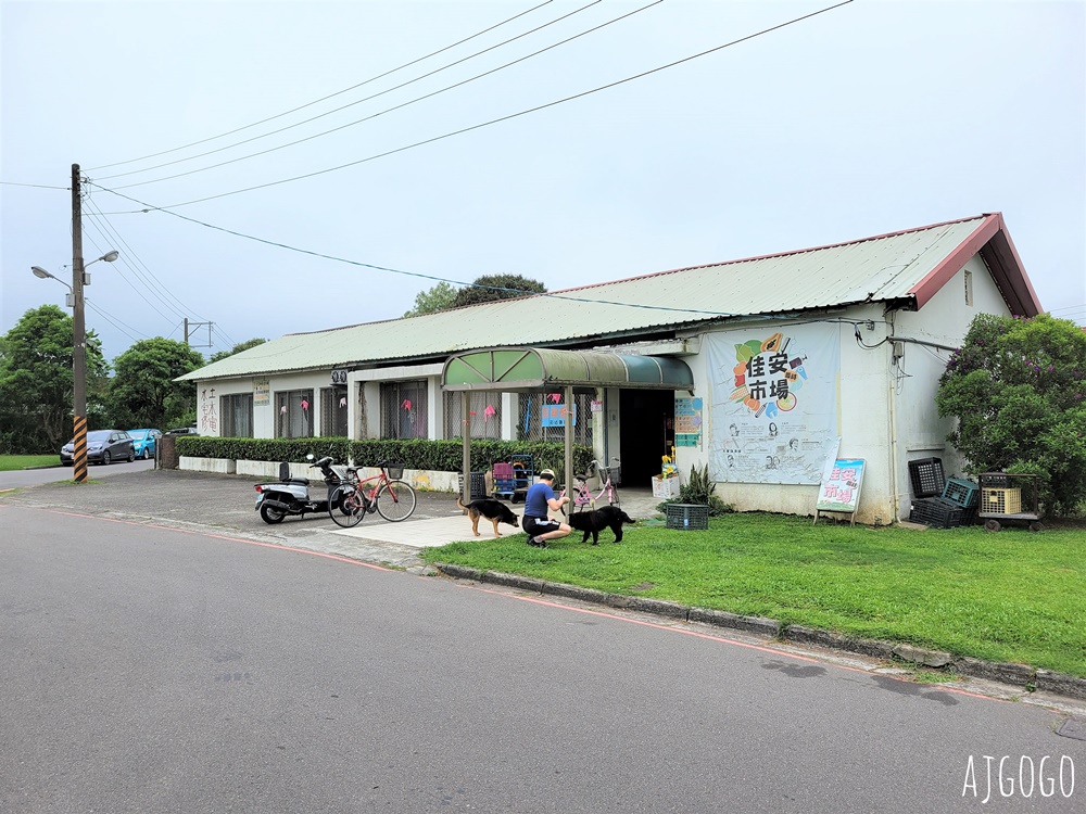 桃園景點 十一份觀光文化園區 石門水庫舊美國宿舍 大草坪野餐舒服