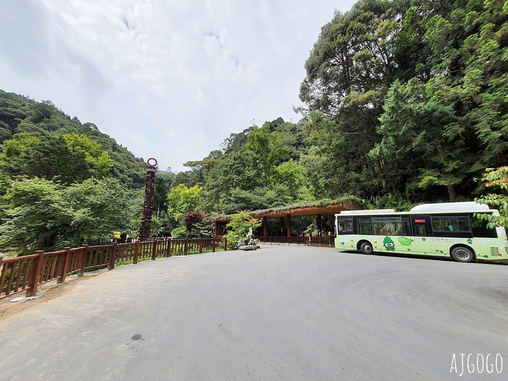 杉林溪森林生態渡假園區 全台最大繡球花園 萬朵繡球花 每年5~8月陸續盛開