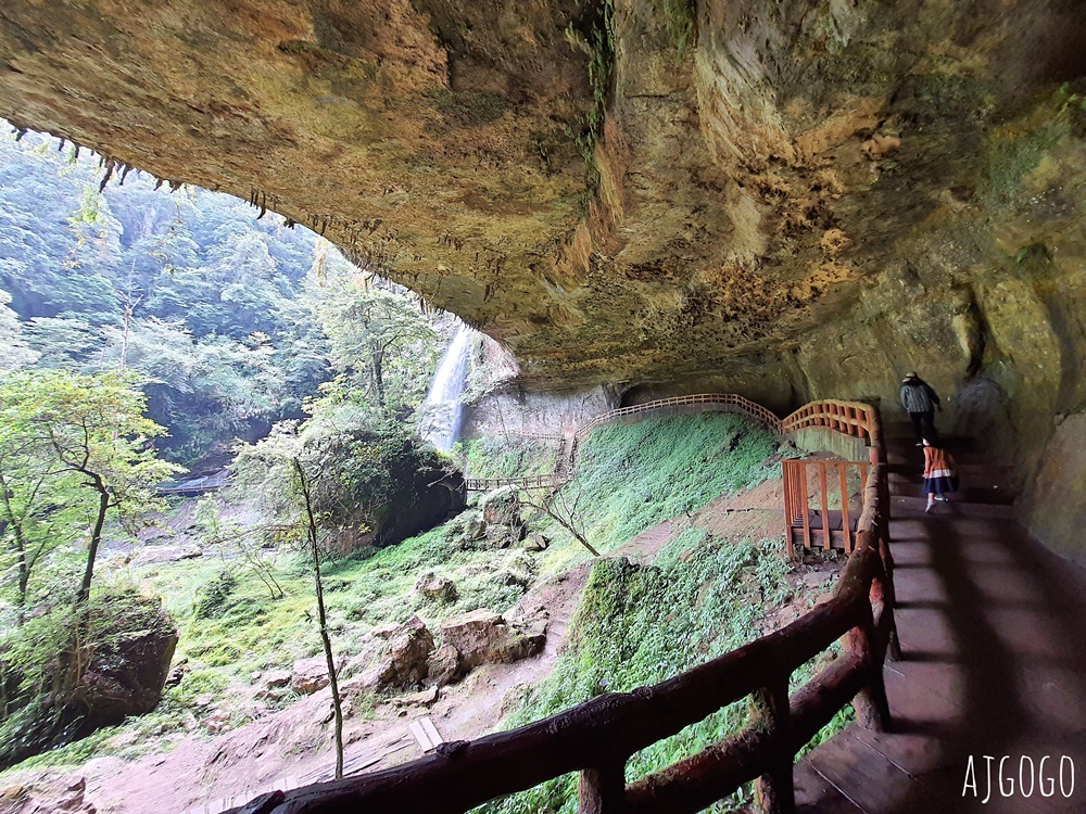 杉林溪森林生態渡假園區 全台最大繡球花園 萬朵繡球花 每年5~8月陸續盛開