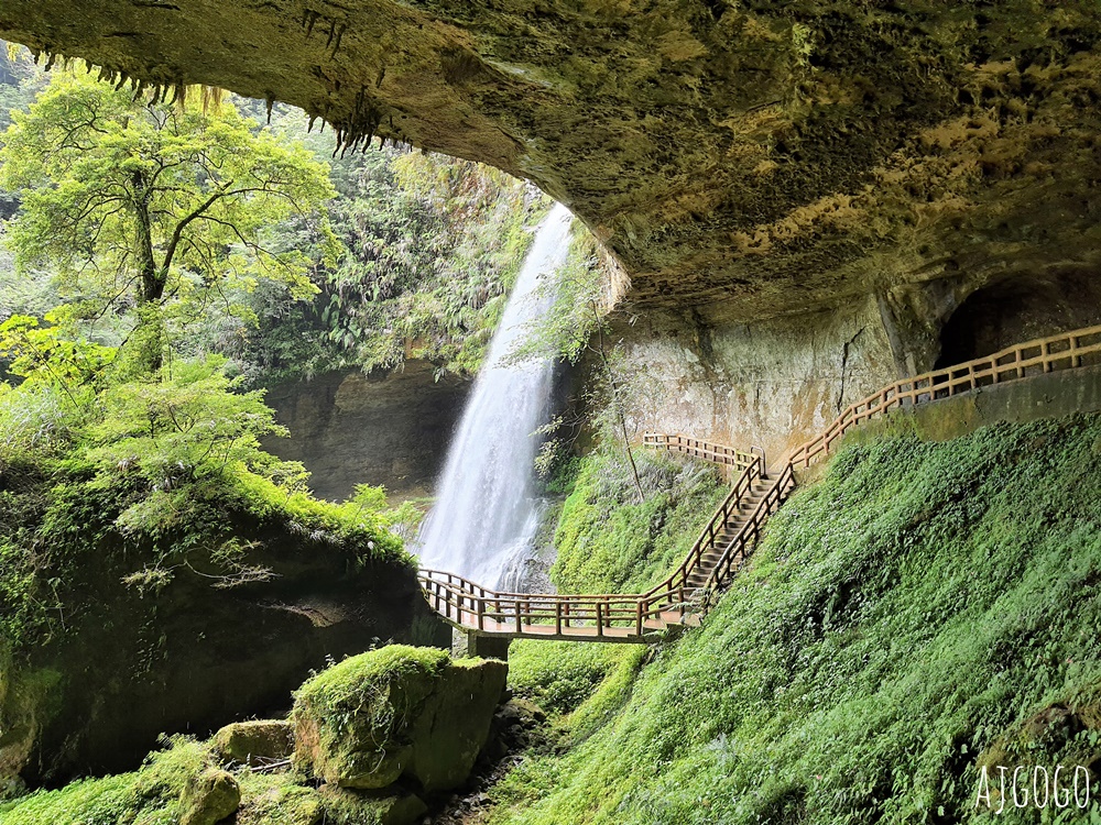 杉林溪森林生態渡假園區 全台最大繡球花園 萬朵繡球花 每年5~8月陸續盛開