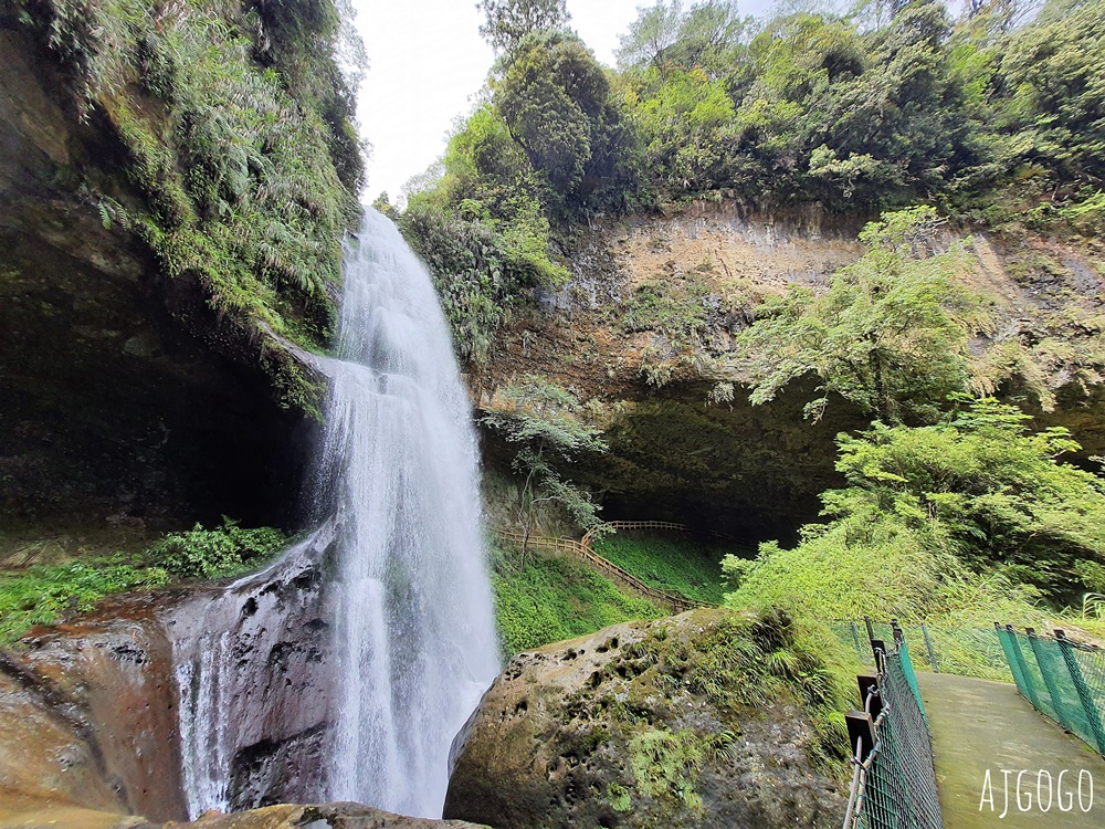 杉林溪森林生態渡假園區 全台最大繡球花園 萬朵繡球花 每年5~8月陸續盛開