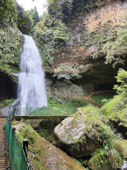 杉林溪森林生態渡假園區 全台最大繡球花園 萬朵繡球花 每年5~8月陸續盛開