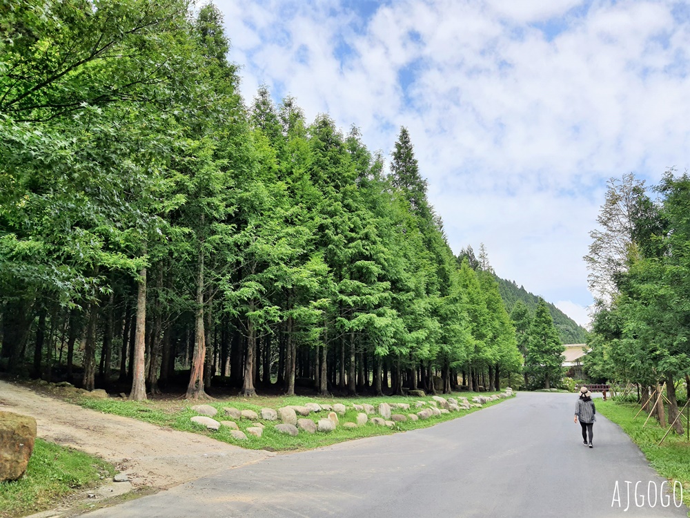 杉林溪森林生態渡假園區 全台最大繡球花園 萬朵繡球花 每年5~8月陸續盛開