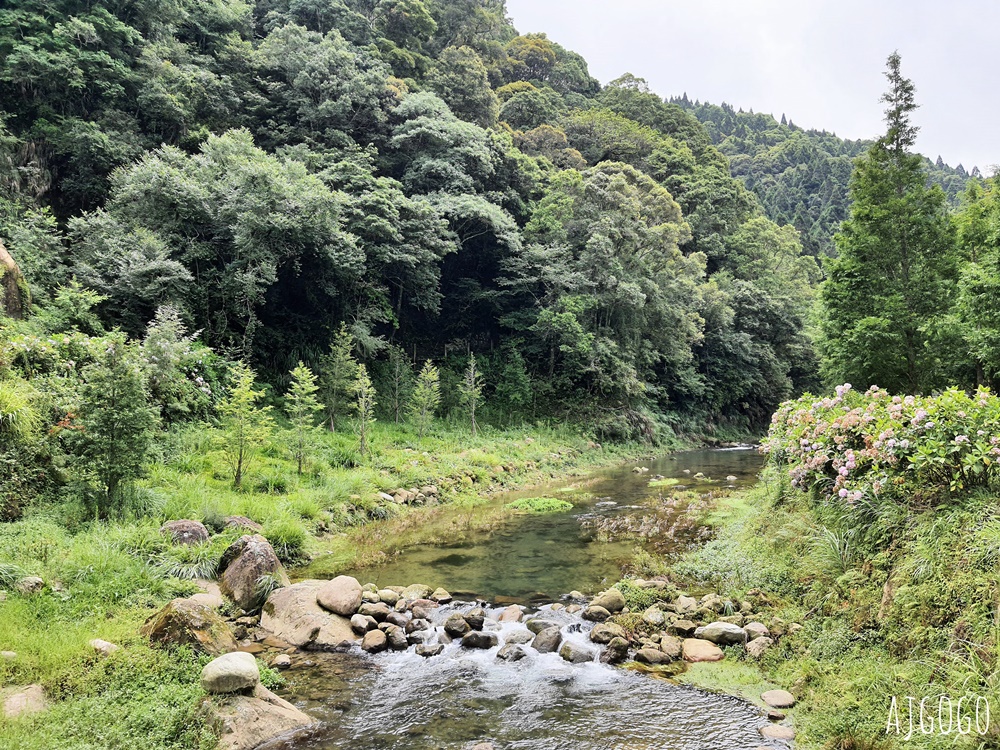 杉林溪森林生態渡假園區 全台最大繡球花園 萬朵繡球花 每年5~8月陸續盛開