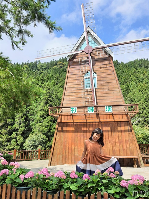 杉林溪森林生態渡假園區 全台最大繡球花園 萬朵繡球花 每年5~8月陸續盛開