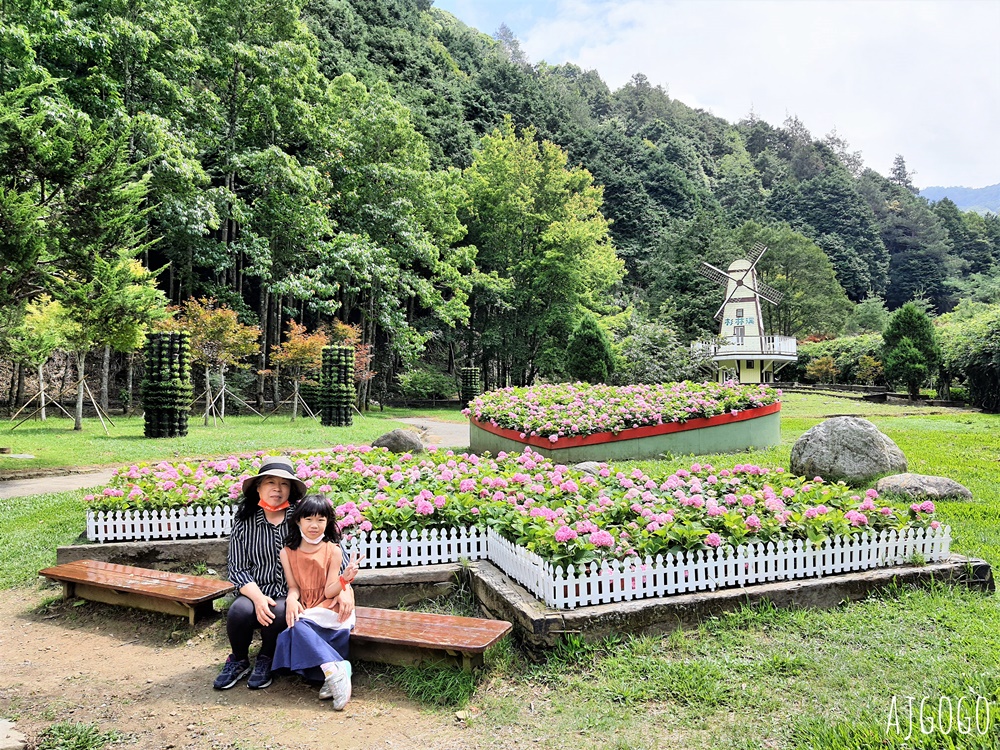 杉林溪森林生態渡假園區 全台最大繡球花園 萬朵繡球花 每年5~8月陸續盛開