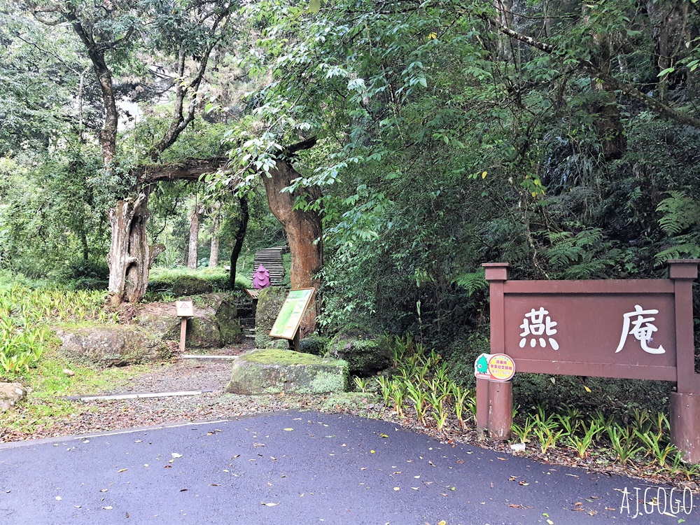 杉林溪森林生態渡假園區 全台最大繡球花園 萬朵繡球花 每年5~8月陸續盛開