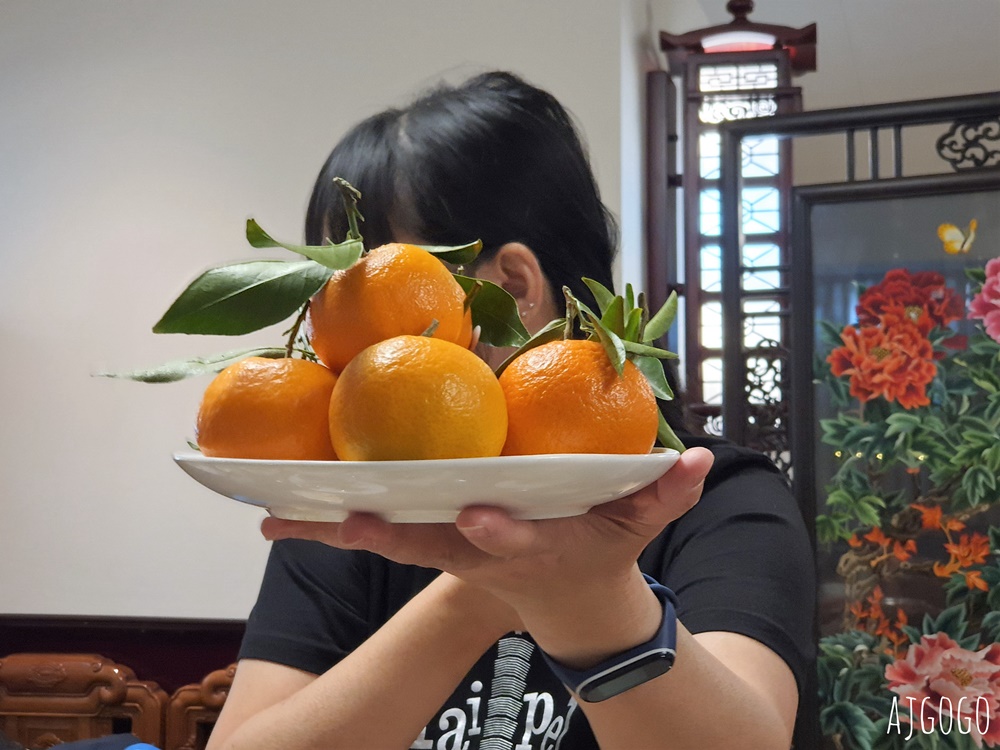 瑞士旅遊 蘇黎世美食 筷子 蘇黎世中央車站好吃的中國菜、川菜館