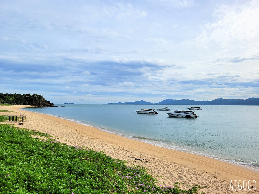 泰國旅遊 龜島交通 前進世界潛水工廠Koh Tao 蘇美島、曼谷、華欣出發 泰國旅遊 龜島交通 前進世界潛水工廠Koh Tao 蘇美島、曼谷、華欣出發