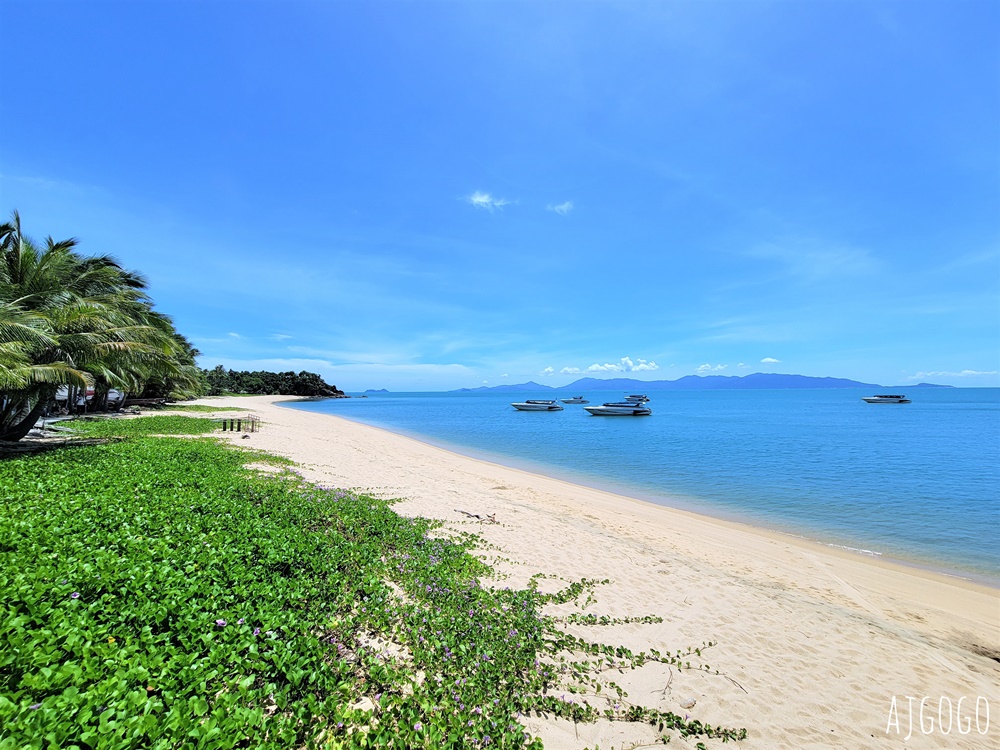 泰國旅遊 龜島交通 前進世界潛水工廠Koh Tao 蘇美島、曼谷、華欣出發