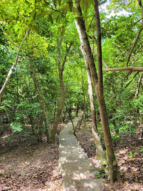 泰國旅遊 南園島 Koh Nang Yuan 浮潛半日遊 龜島旁的寧靜小島 泰國旅遊 南園島 Koh Nang Yuan 浮潛半日遊 龜島旁的寧靜小島
