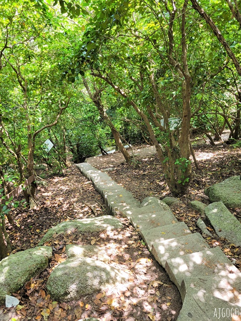 泰國旅遊 南園島 Koh Nang Yuan 浮潛半日遊 龜島旁的寧靜小島 泰國旅遊 南園島 Koh Nang Yuan 浮潛半日遊 龜島旁的寧靜小島