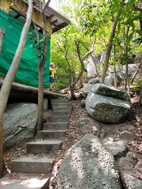 泰國旅遊 南園島 Koh Nang Yuan 浮潛半日遊 龜島旁的寧靜小島 泰國旅遊 南園島 Koh Nang Yuan 浮潛半日遊 龜島旁的寧靜小島