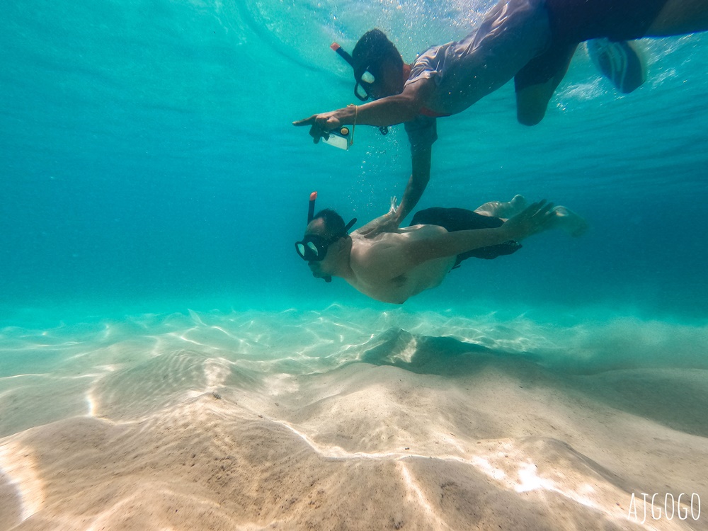 泰國旅遊 南園島 Koh Nang Yuan 浮潛半日遊 龜島旁的寧靜小島 泰國旅遊 南園島 Koh Nang Yuan 浮潛半日遊 龜島旁的寧靜小島