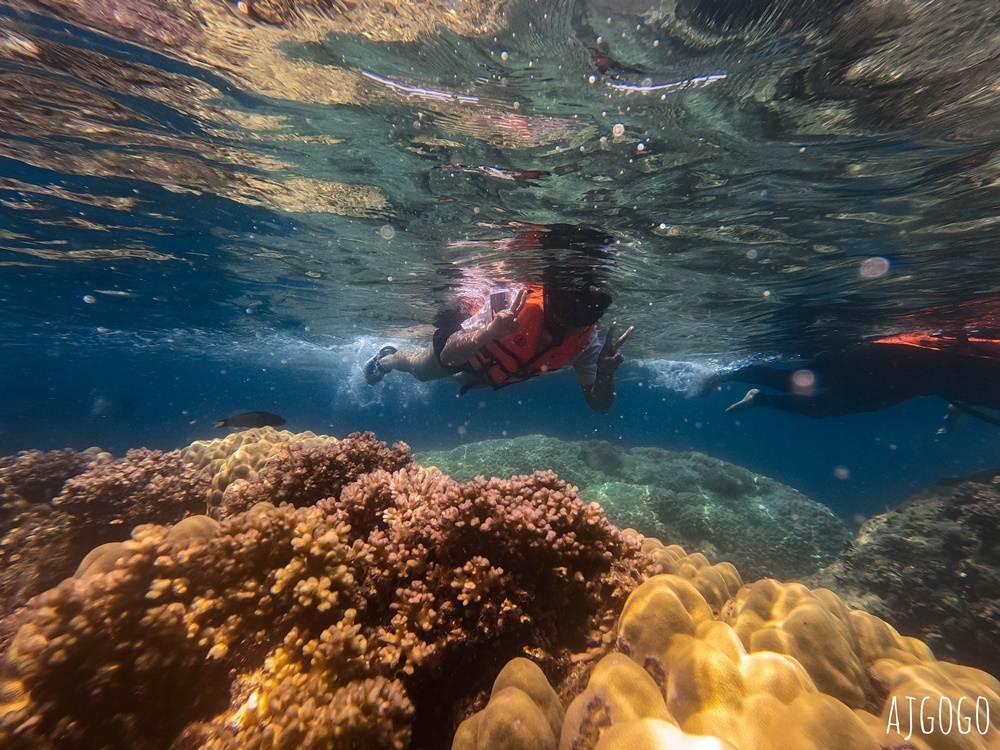 泰國旅遊 南園島 Koh Nang Yuan 浮潛半日遊 龜島旁的寧靜小島 泰國旅遊 南園島 Koh Nang Yuan 浮潛半日遊 龜島旁的寧靜小島