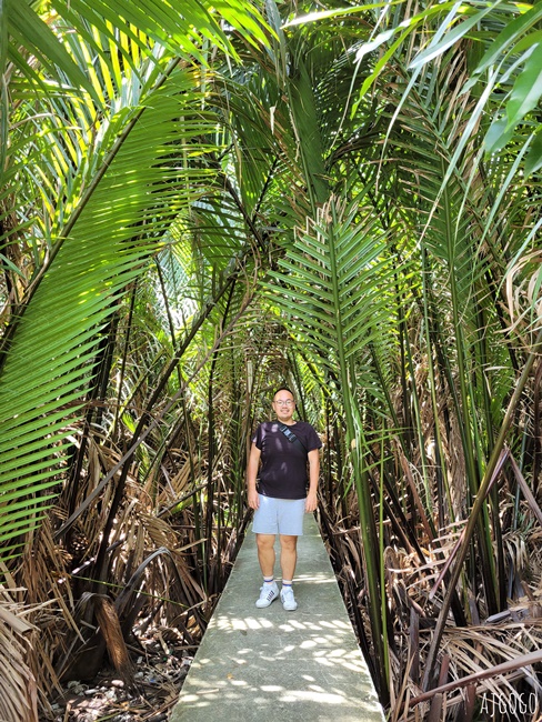 曼谷自由行 曼谷樹屋旅館 Bangkok Tree House 網美森林系餐廳 河岸樹林裡的玻璃屋