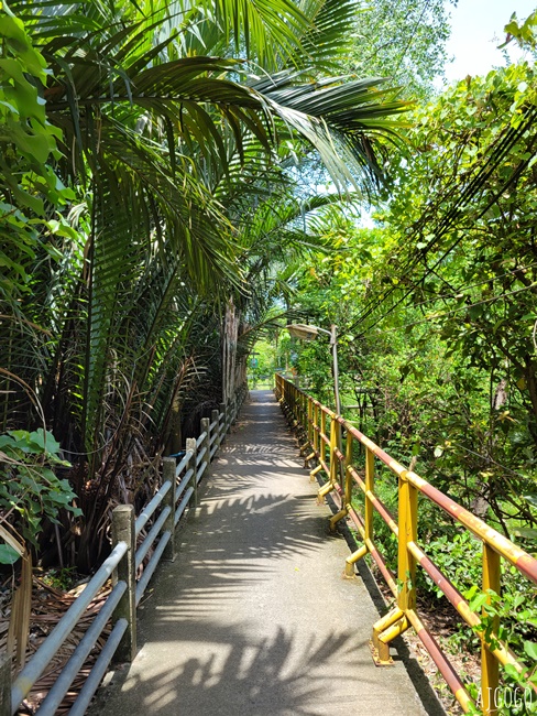 曼谷自由行 曼谷樹屋旅館 Bangkok Tree House 網美森林系餐廳 河岸樹林裡的玻璃屋